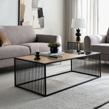 The Cage Coffee Table – Industrial Metal & Natural Wood Centerpiece